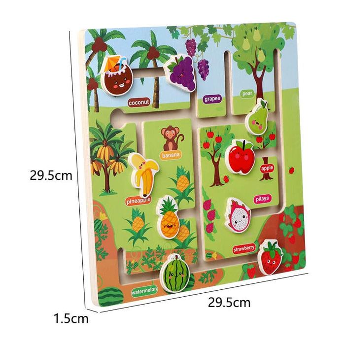 Sliding Track Maze Puzzle Board